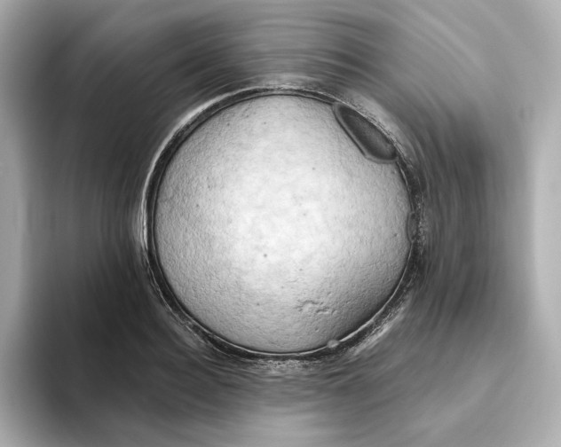 X0000093520940200711021043