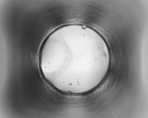 X0000093520941200711021043