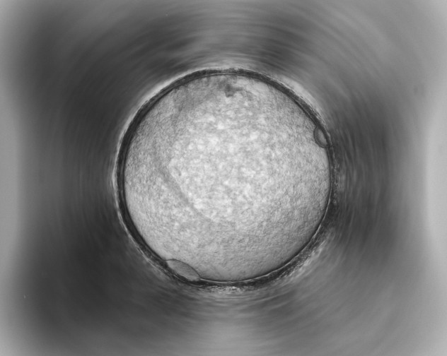 X0000093520943200711021043