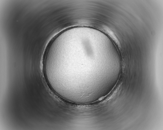 X0000093520944200711021043