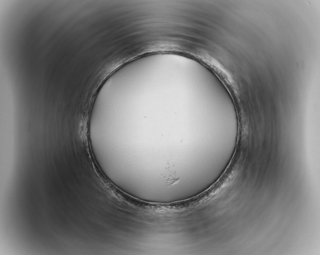 X0000093520945200711021043