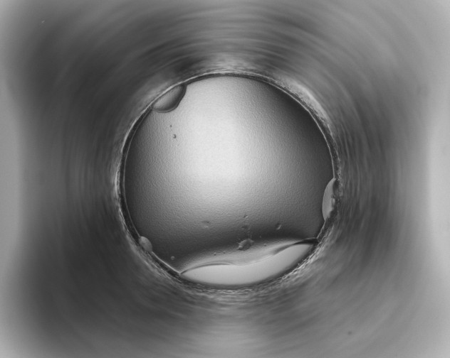 X0000093520946200711021043