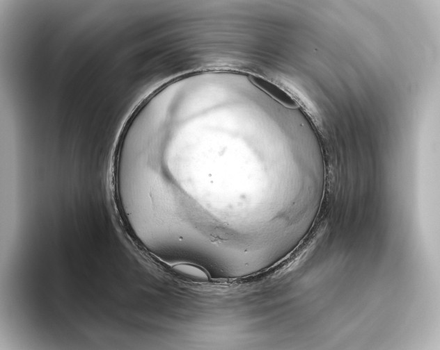 X0000093520948200711021043