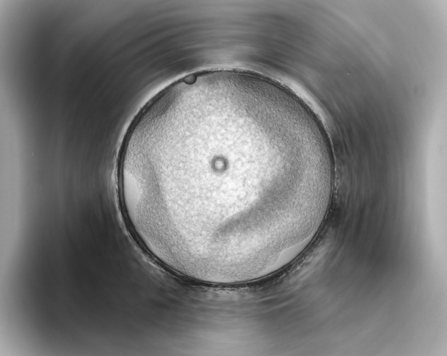 X0000093520951200711021044