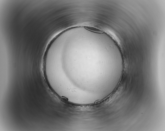 X0000093520952200711021044