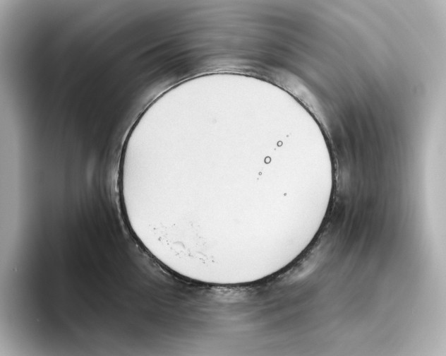 X0000093520954200711021044