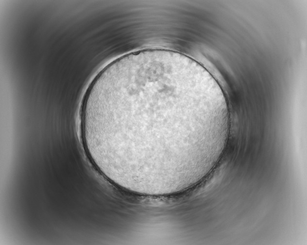 X0000093520955200711021044