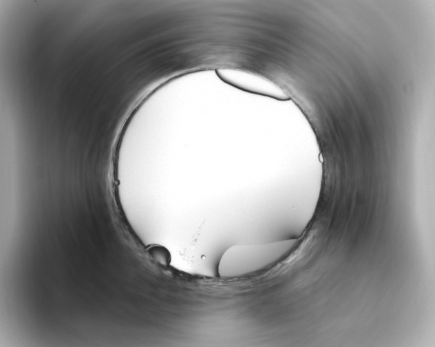 X0000093520956200711021044