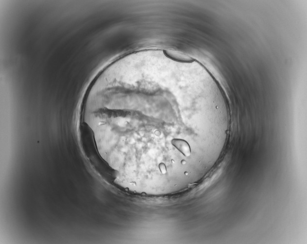 X0000093520957200711021044