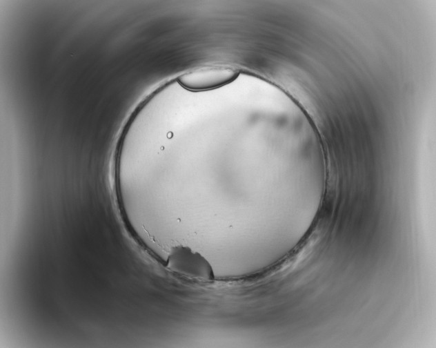 X0000093520958200711021044