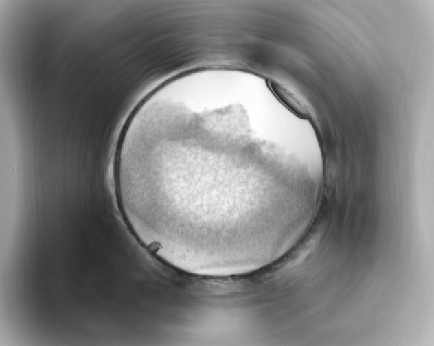 X0000093520959200711021044