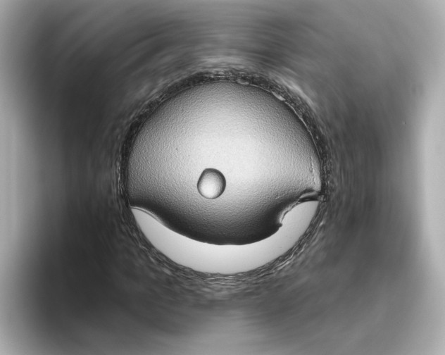 X0000093520965200711021043