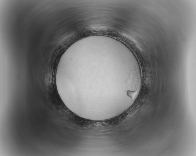 X0000093520966200711021043