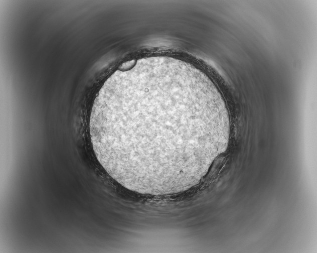 X0000093520967200711021043