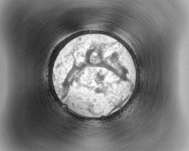 X0000093520971200711021043