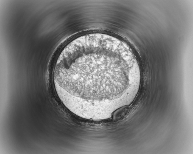 X0000093520975200711021043