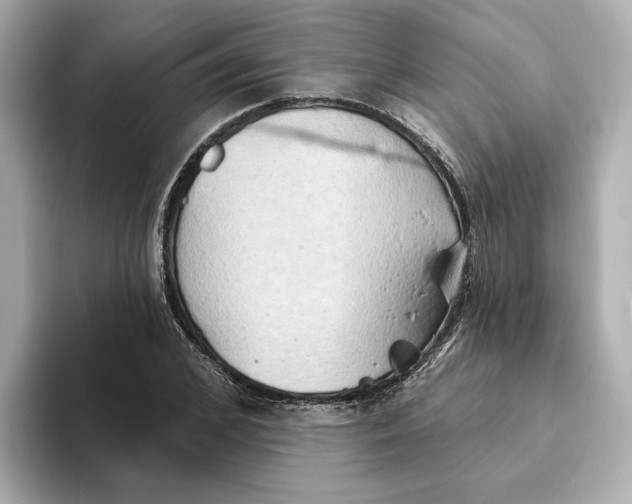 X0000093520976200711021043