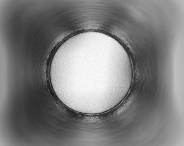 X0000093520978200711021043