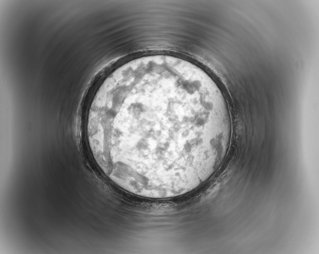 X0000093520979200711021043