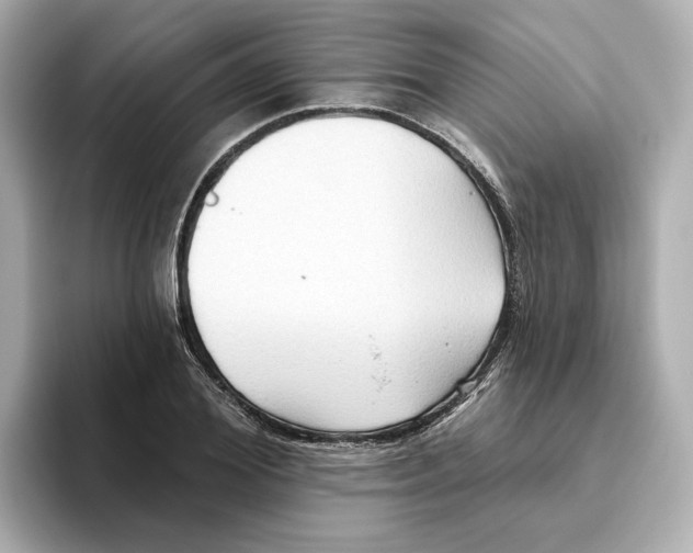 X0000093520980200711021043