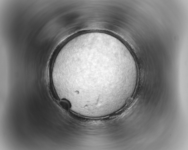 X0000093520982200711021043