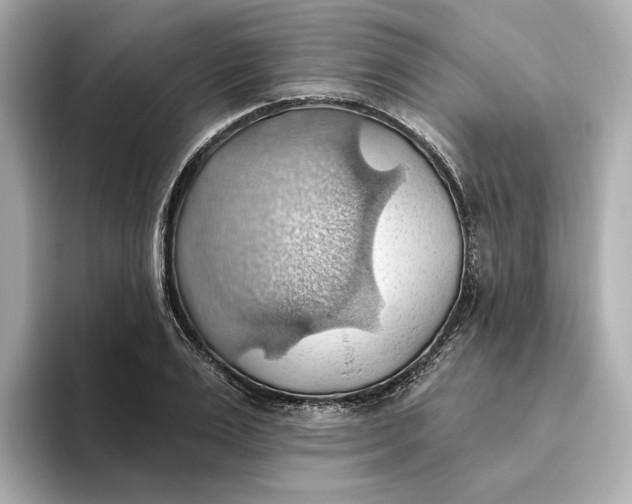 X0000093520983200711021043