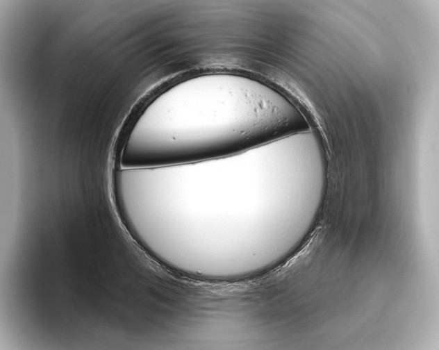 X0000093520984200711021043