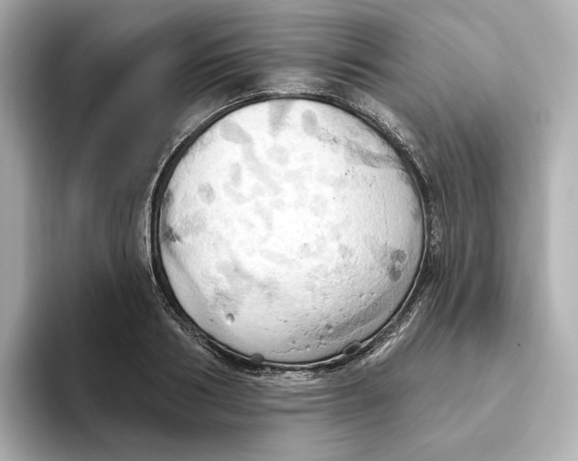 X0000093520986200711021043