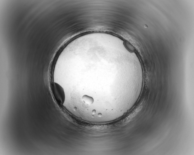 X0000093520989200711021043