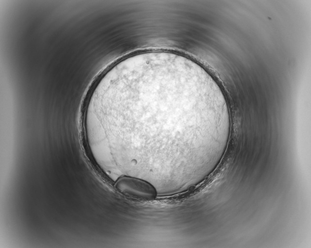 X0000093520990200711021043