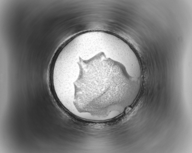 X0000093520991200711021043