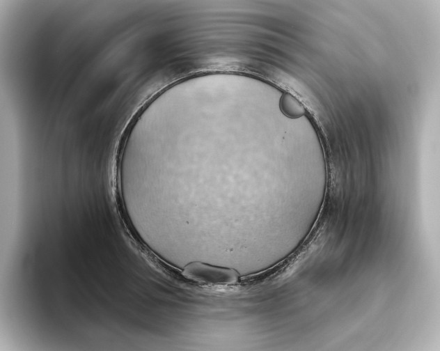 X0000093520994200711021043