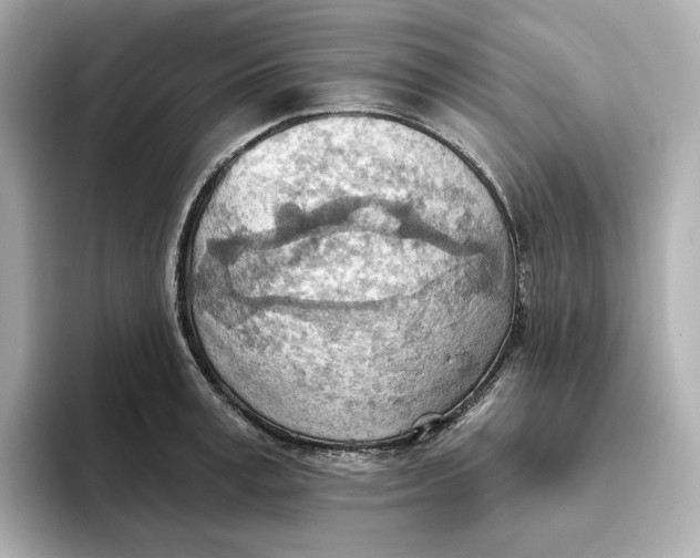 X0000093520995200711021043