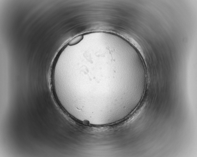 X0000093520997200711021043