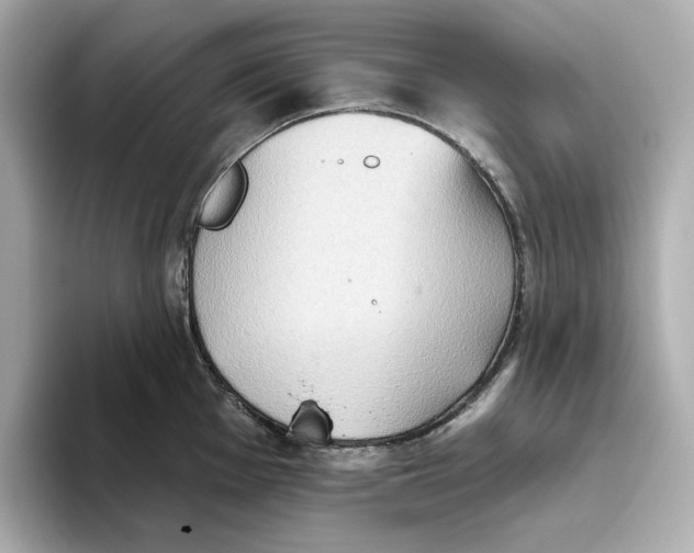 X0000093521001200711021043