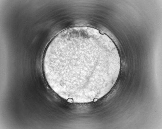 X0000093521002200711021043