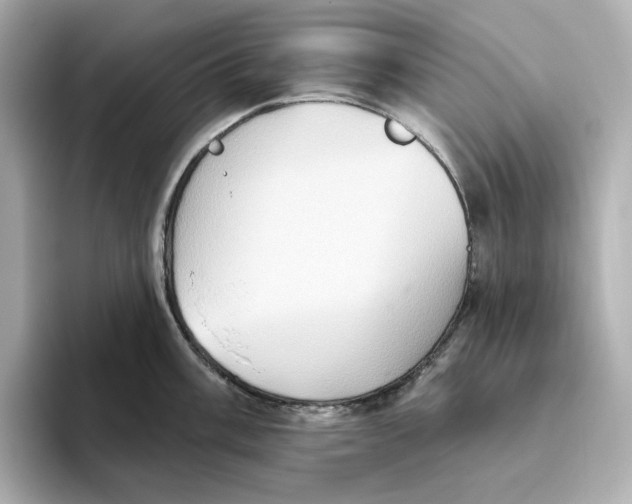 X0000093521003200711021043