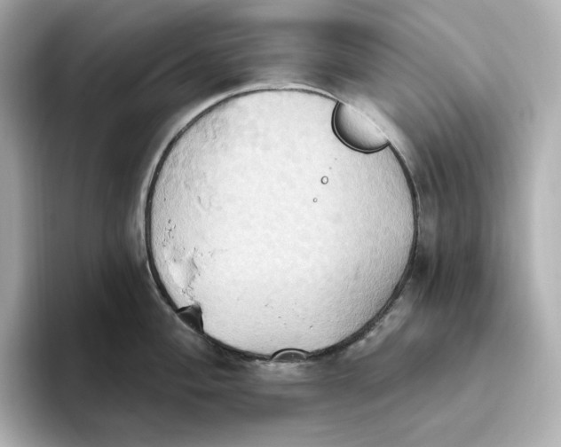 X0000093521004200711021043