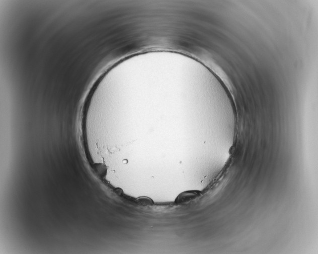 X0000093521005200711021043