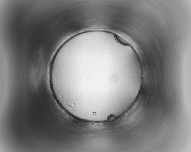 X0000093521006200711021043