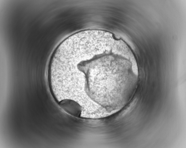 X0000093521007200711021043