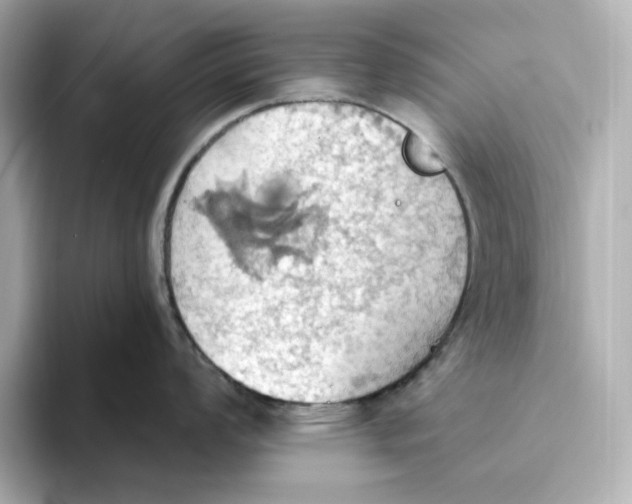 X0000093521008200711021042