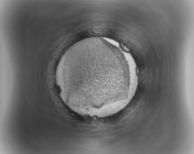 X0000093521009200711021042