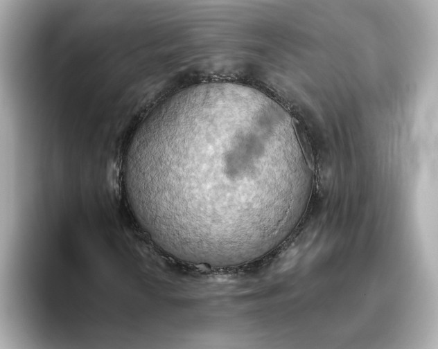 X0000093521010200711021042