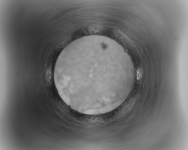 X0000093521011200711021042