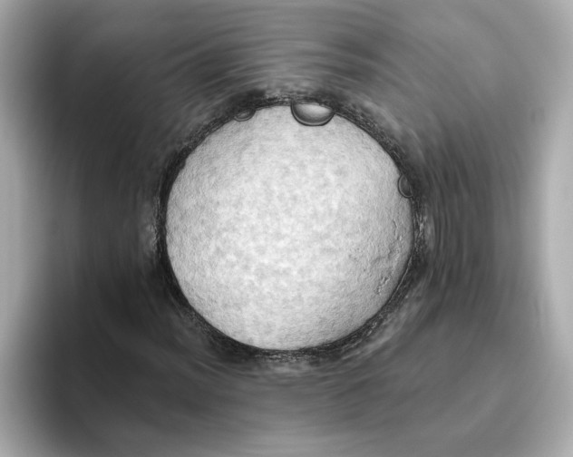 X0000093521012200711021042