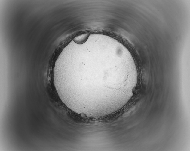 X0000093521016200711021042