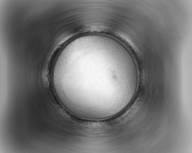 X0000093521018200711021042