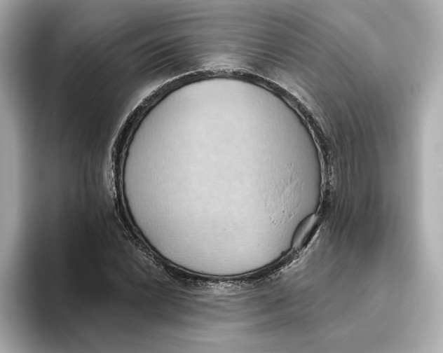 X0000093521022200711021042