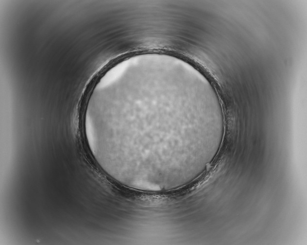 X0000093521023200711021042